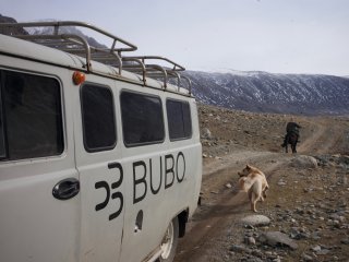 BUBO in Mongolia