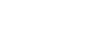 nove bubo logo