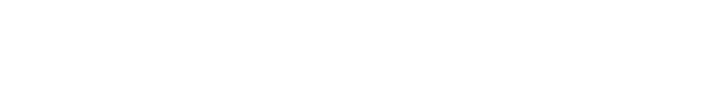 Auto Palace